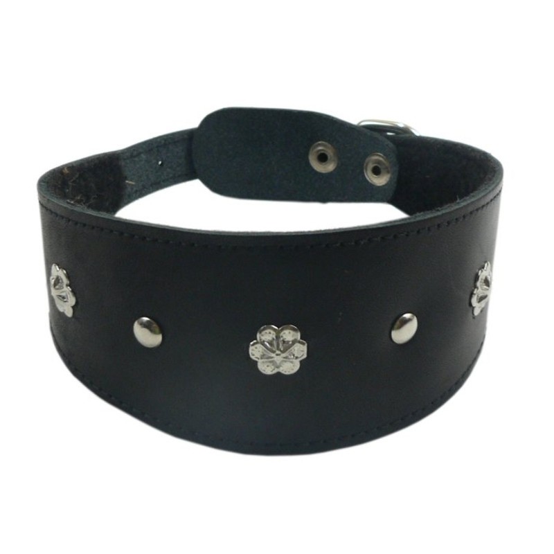 ПР0048180 Ошейник для собак Камбала 1сл 55мм 40см черный ZOOEXPRESS 