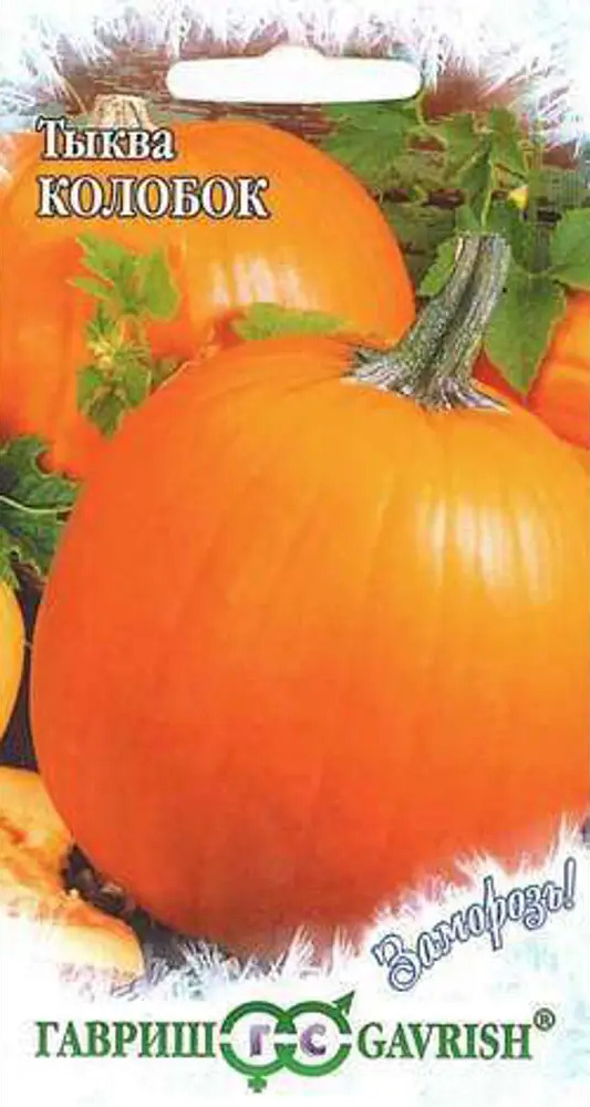 ГАВРИШ Тыква Колобок — витаминный сорт для богатого урожая 83607026