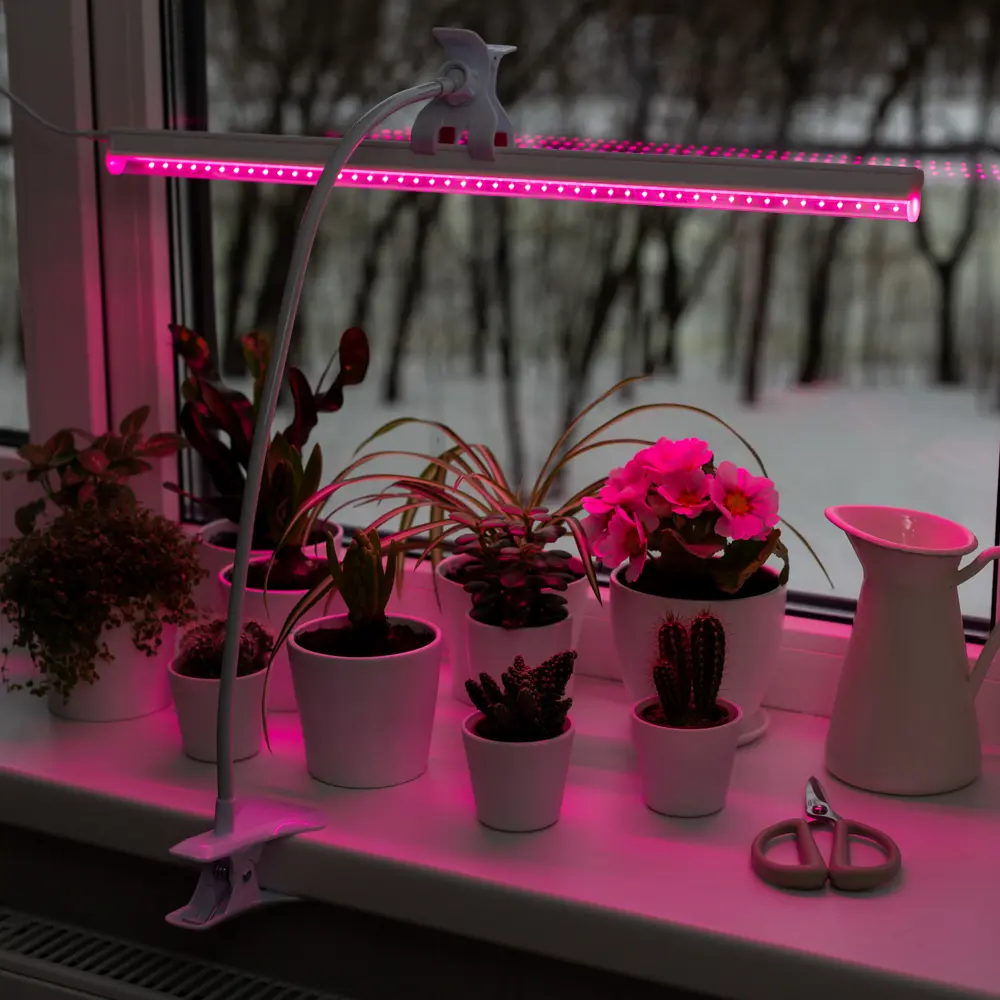 Фитолампы Ritter Planta для растений с выключателем - эффективная досветка рассады и цветов 85336791 STLM-0061766 - Вид №23
