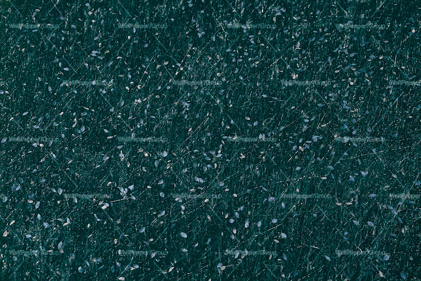 Обои из натурального ПВХ, экологически чистые, моющиеся WallPepper PETALS ARCH-00124067 - Вид №1