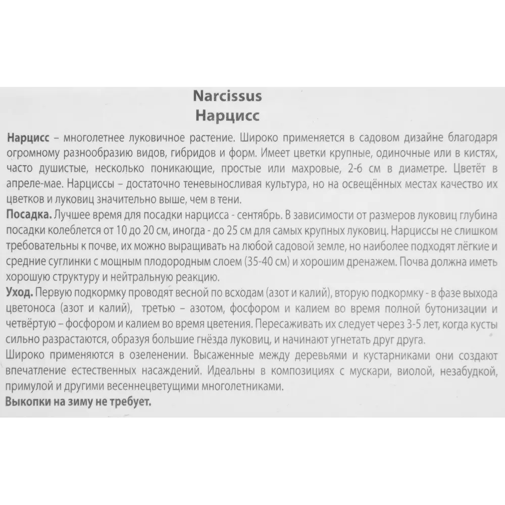 Нарцисс махровый Дик Вилден, 3 шт 85186017 STLM-2198251 ПОИСК  - Вид №2