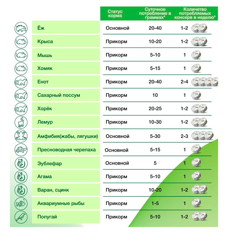 ПР0058878 Туркменский таракан консервированный , 40 г ONTO  - Вид №1
