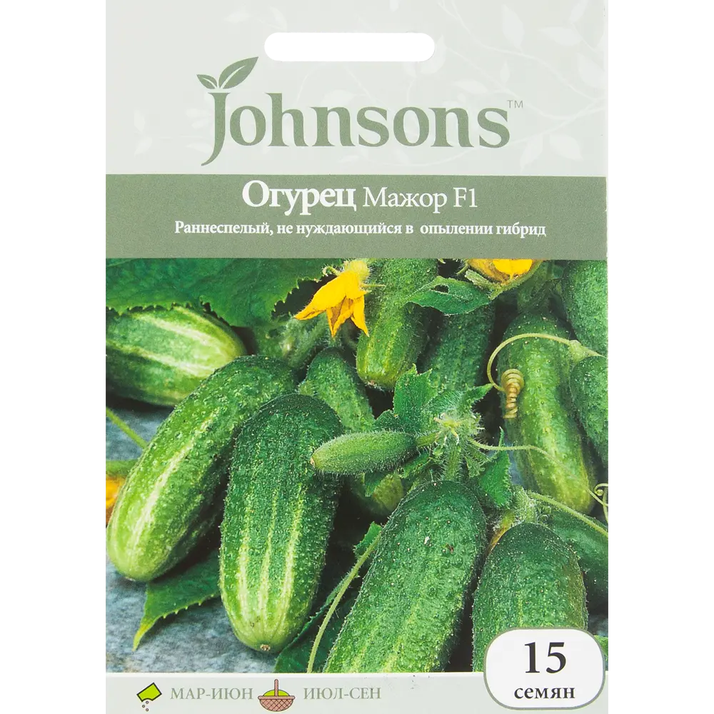 Семена Огурец «Мажор» F1 15 шт. 82450165 STLM-2111829 JOHNSONS 