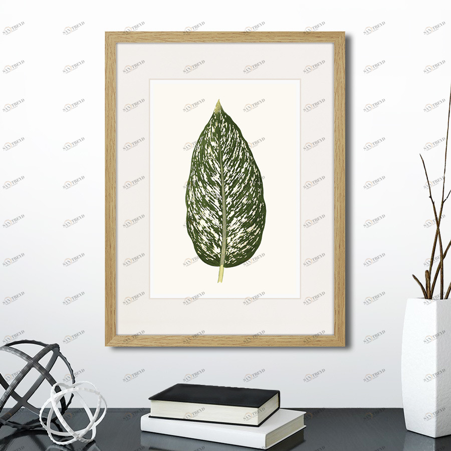 Картина: Single leaf of a plant №1, 1865г. КАРТИНЫ В КВАРТИРУ  264453 Разноцветный 