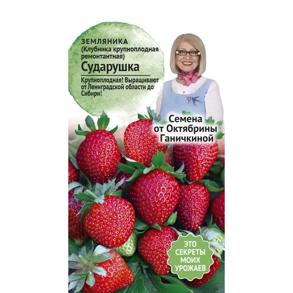 Семена ягод клубника ремонтантная Сударушка 89348031 STLM-2059806 Santreyd 