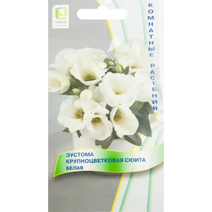 Эустома «Сюита» белая от ПОИСК - изящный комнатный цветок 82424772