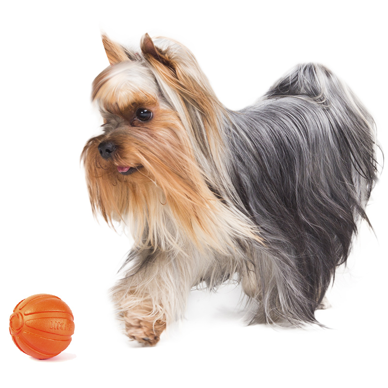 ПР0039923 Игрушка для собак 5 Мячик диаметр 5см LIKER  - Вид №1