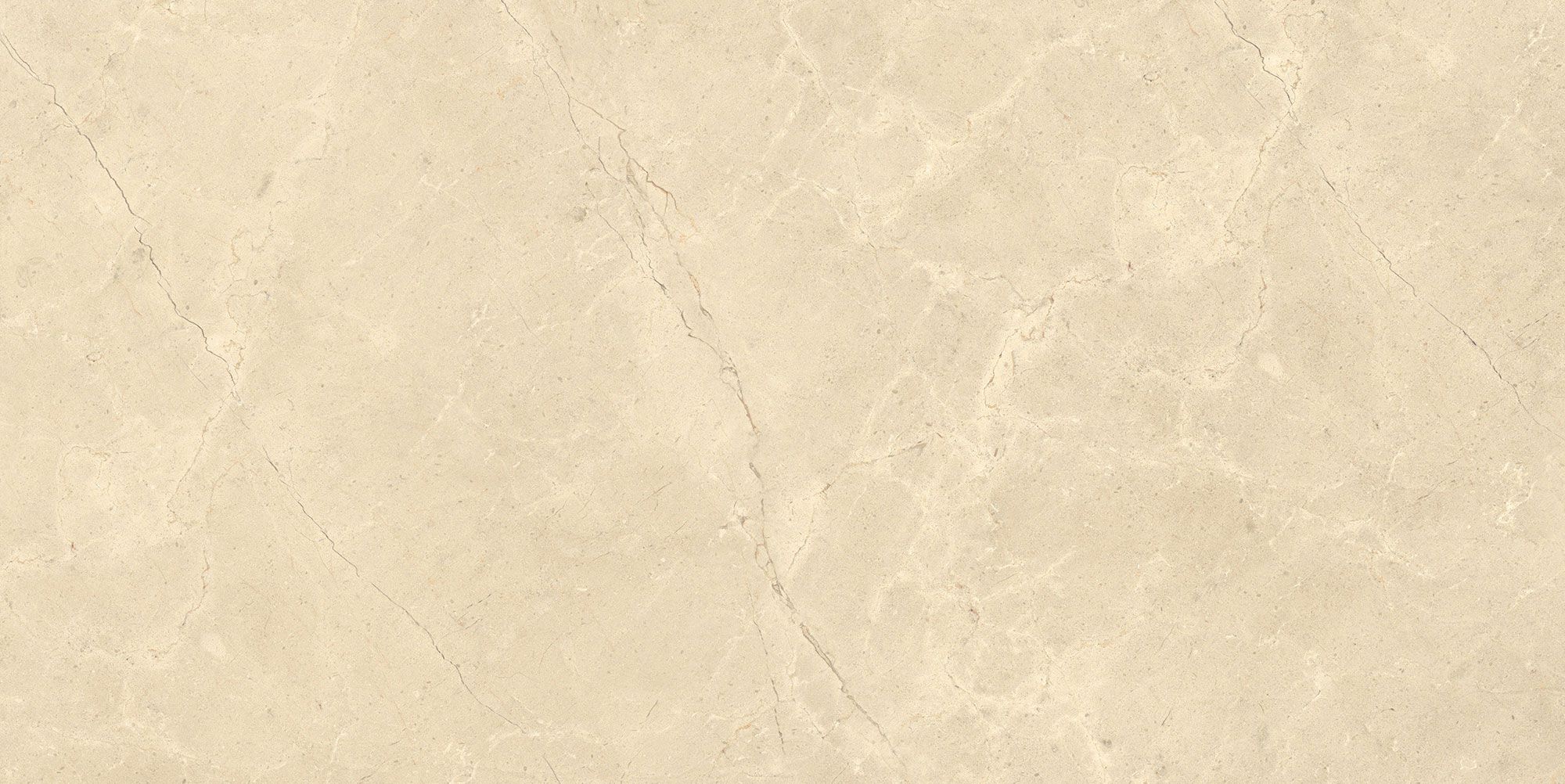 Пол / облицовка керамогранита с эффектом камня Italgraniti Calcis ARCH-00078048 - Вид №23