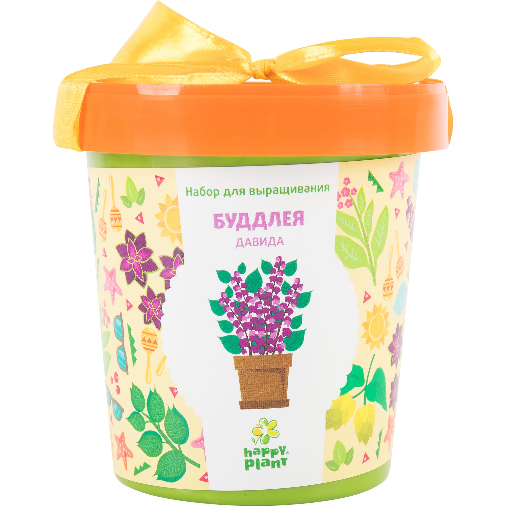 82492010 Буддлея Давида в горшке Santreyd 