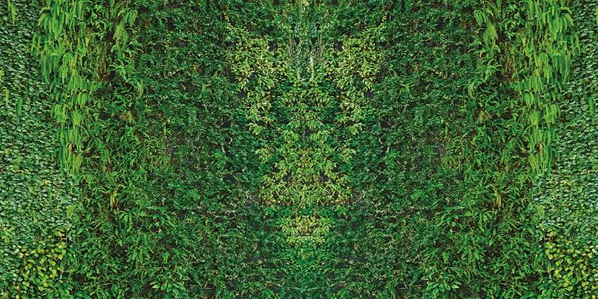 Creativespace Водонепроницаемые обои с цветочными мотивами Wallpaper 2020 sun-id-1408709 - Вид №1