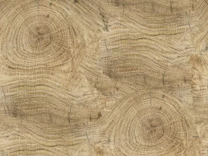 Wall&decò Обои для ванной под дерево Wet system 13