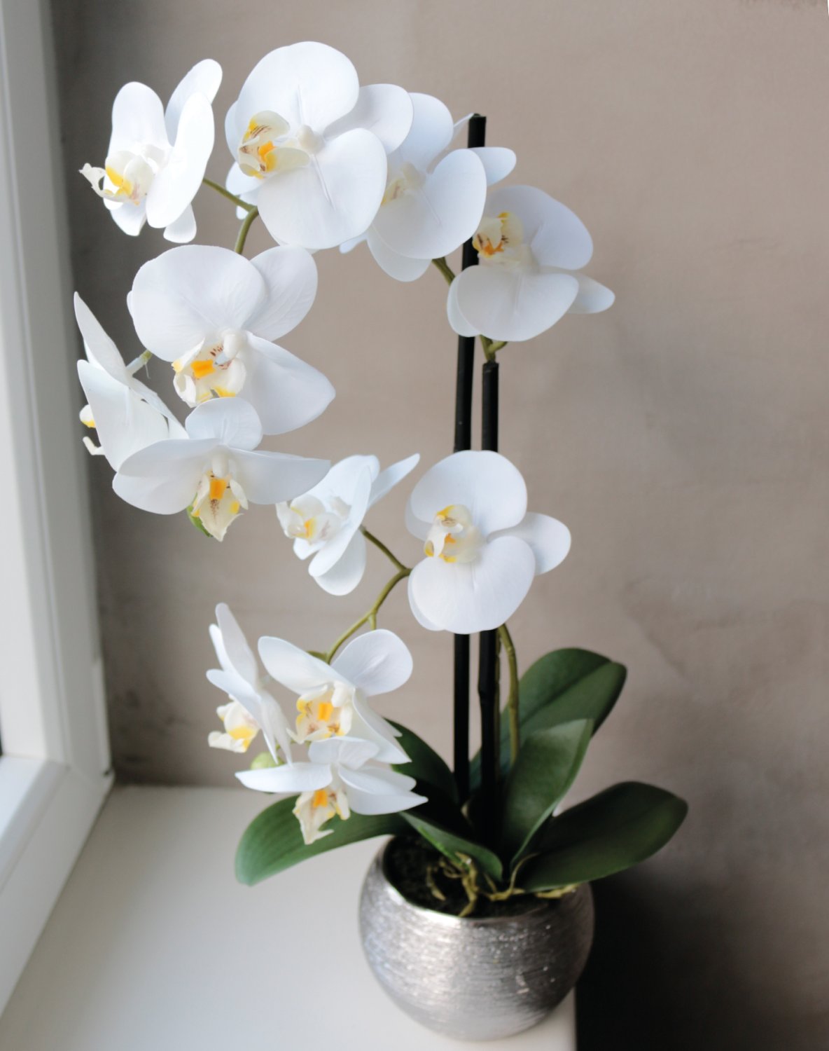 2777 778 a3 Пластиковая орхидея Phalaenopsis, 2-х кратная, горшечная, 45 см, real touch, бежево-белая H-andreas  - Вид №8