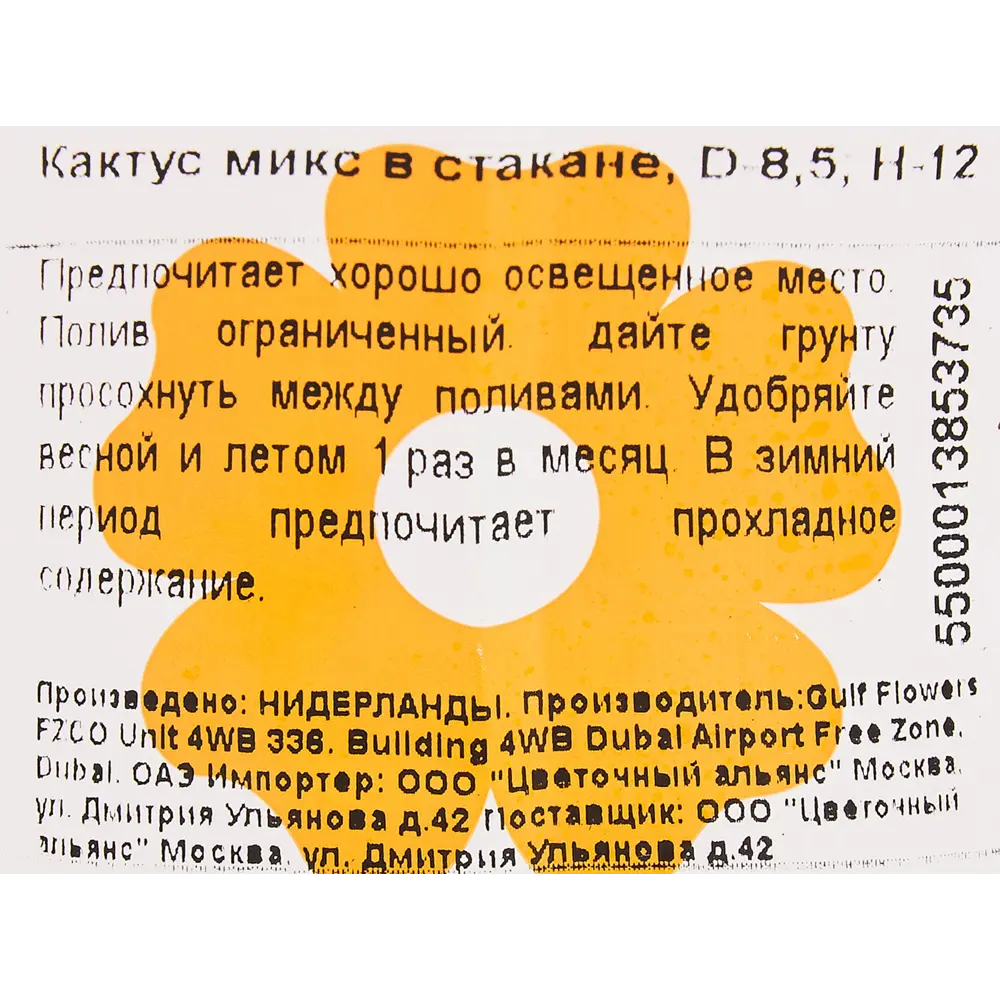 Кактус шаровидный More Lips 9x12 см 82771298 STLM-2097252 MORELIPS  - Вид №2