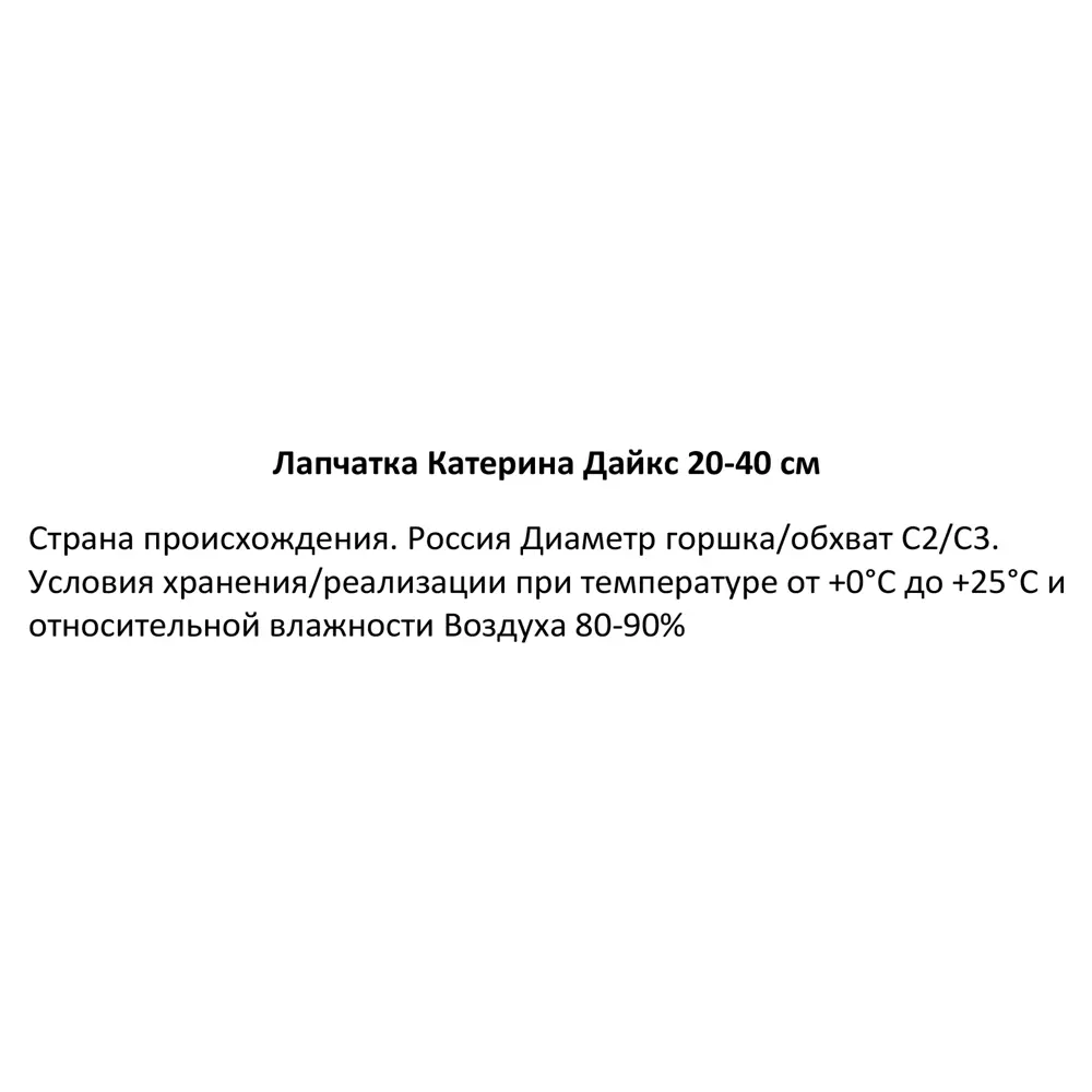 Лапчатка Катерина Дайкс ø19 h20-40 см 85320178 STLM-2096092 Santreyd 