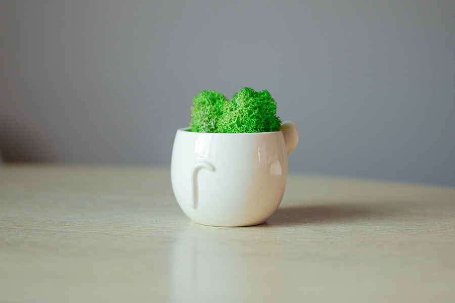 Набор для выращивания Eco мини-кашпо «Мышка» ЭКОЧЕЛОВЕКИ MIN104 - Вид №2