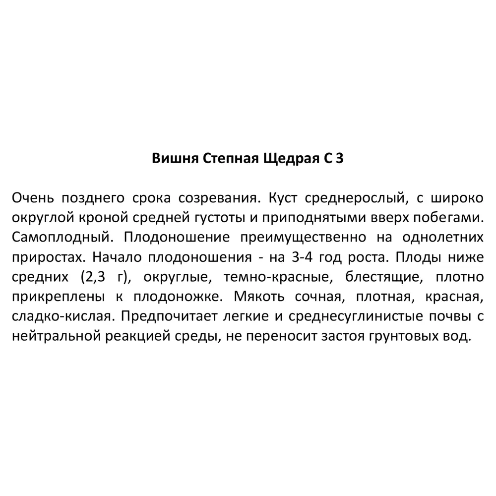 Santreyd Вишня степная - саженец с высокой урожайностью 87811896 STLM-0963470 - Вид №2