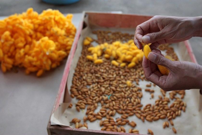 Casalis Ковер из мохера ручной работы sun-id-1425469 - Вид №15