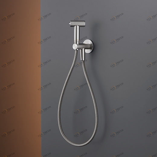 струя воды для чистки туалетов с предохранительным клапаном, настенный кронштейн и подключение воды  FRE175 CEADESIGN 