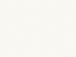 Экологически чистые моющиеся устойчивые к выцветанию обои из ткани