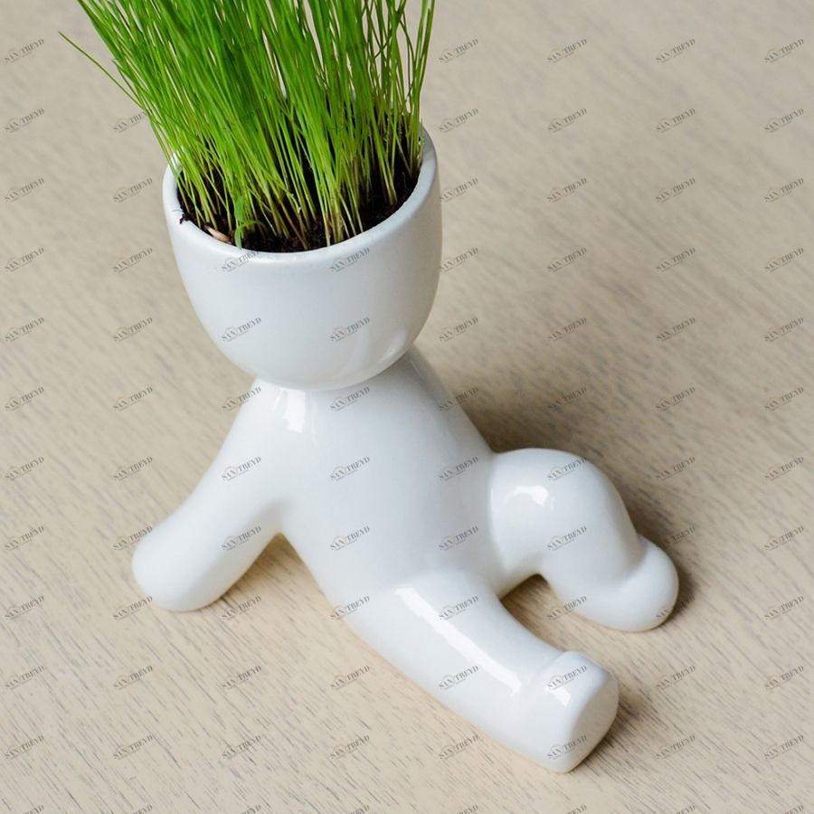 Набор для выращивания Eco Пляжник ЭКОЧЕЛОВЕКИ ЕСO115