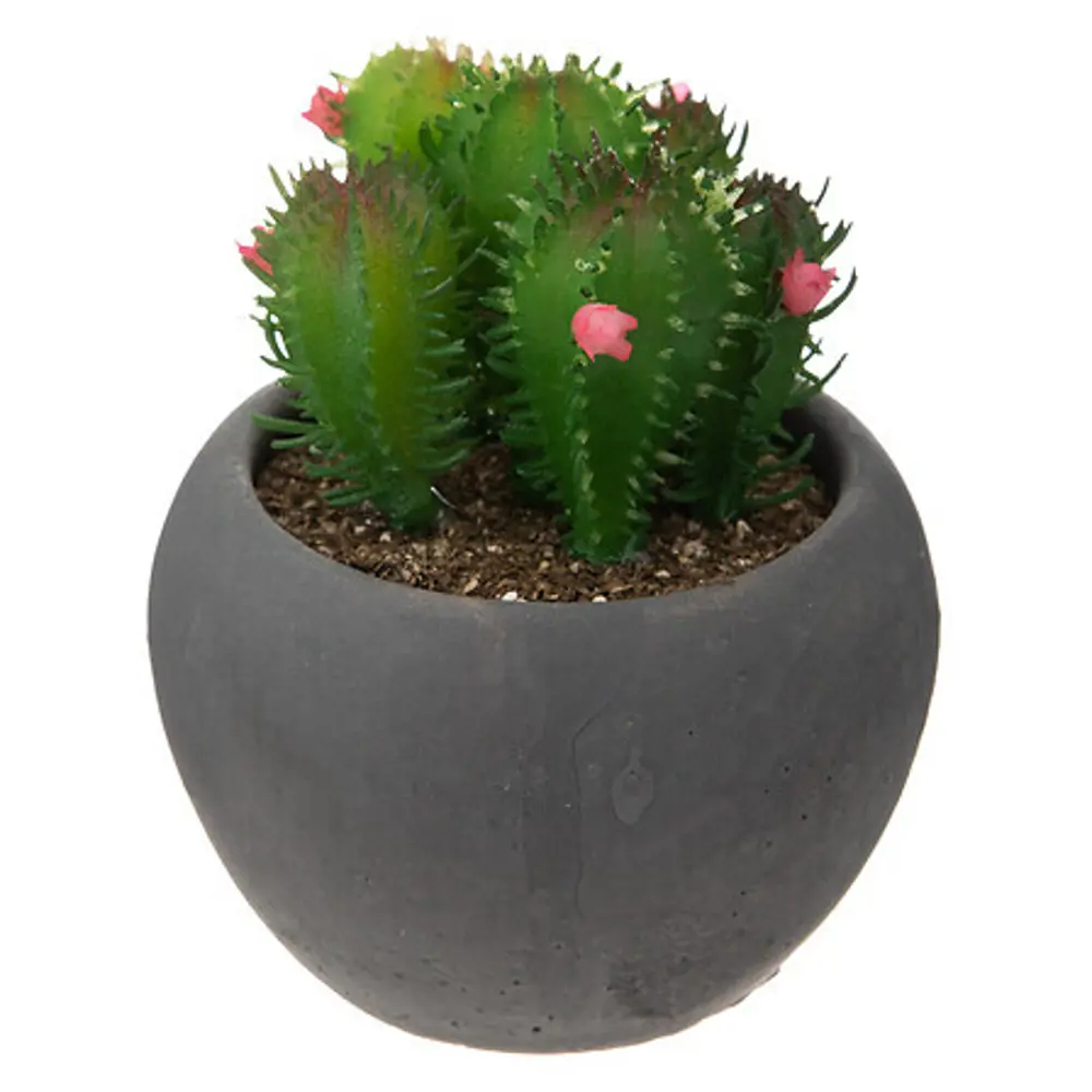 Искусственное растение в пластиковом горшке Atmosphera Кактус D6.3x11.5 см микс 87051746 STLM-2119665  - Вид №12