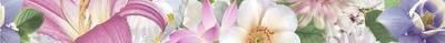 Mold Flores Бордюр 5х50 Ceradim sun-id-316463