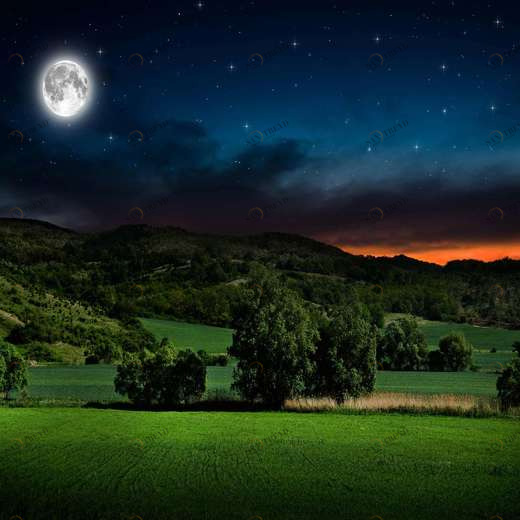 WP00531 Фотообои Verol Фотообои decoline 1х1 м