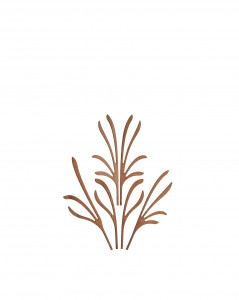 Выходит на диффузор. Grrr Alessi Пять сезонов