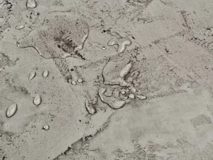 Sandtex Эмульсия защитно-полировочная для декоративных штукатурок.