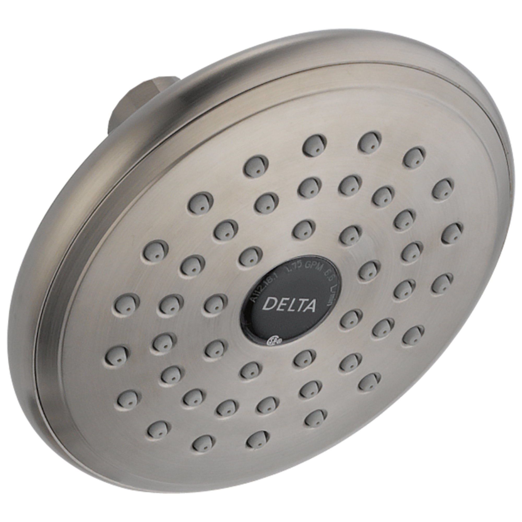 Водосберегающая насадка для душа Delta Faucet RP64096SS