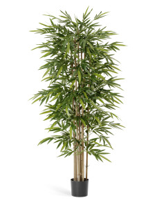 10.34606N Бамбук Новый Цветочная коллекция