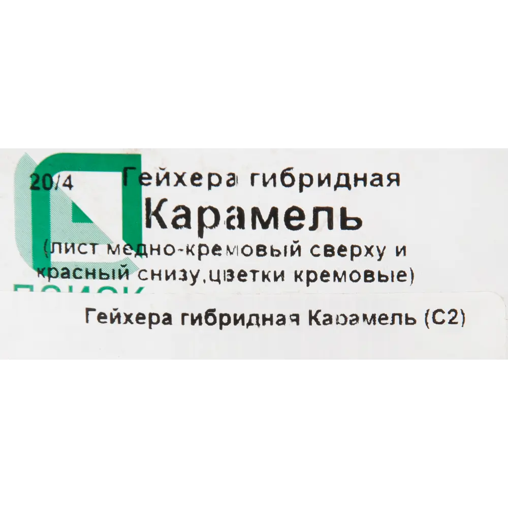 Гейхера в сортах (V1.5-2л) (Серия Люкс) 17897580 STLM-2182875 Santreyd  - Вид №2