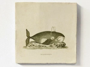 Groovy Magnets Настенный декоративный предмет из керамики Tiles M-tile-wh