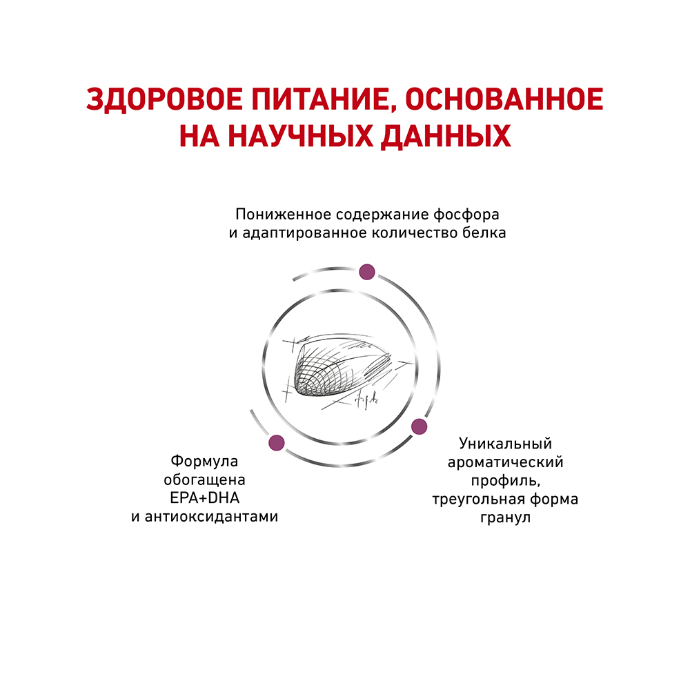 ПР0053531 Корм для кошек Vet Diet Renal Special RSF 26 при хронической почечной недостаточности сух. 2кг ROYAL CANIN  - Вид №3