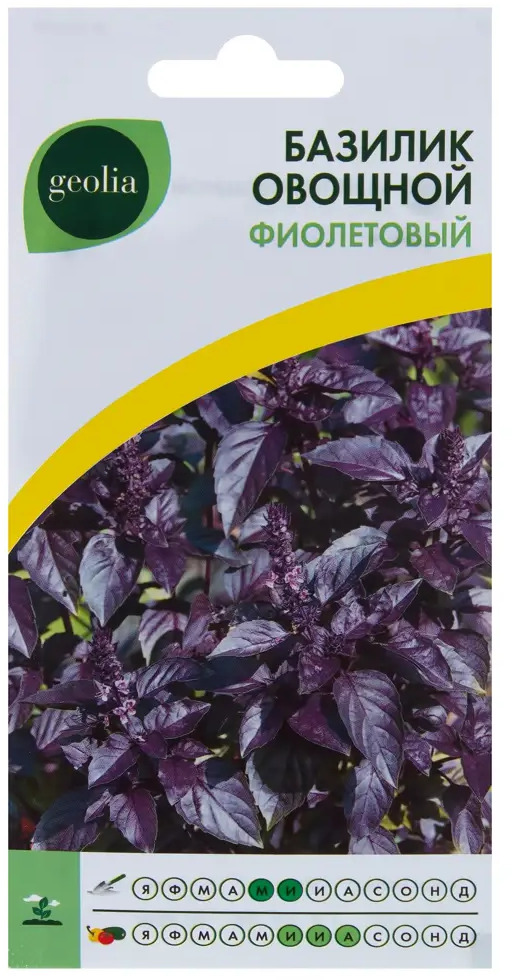 Базилик овощной Geolia «Фиолетовый» с лимонно-перечным ароматом 17584487