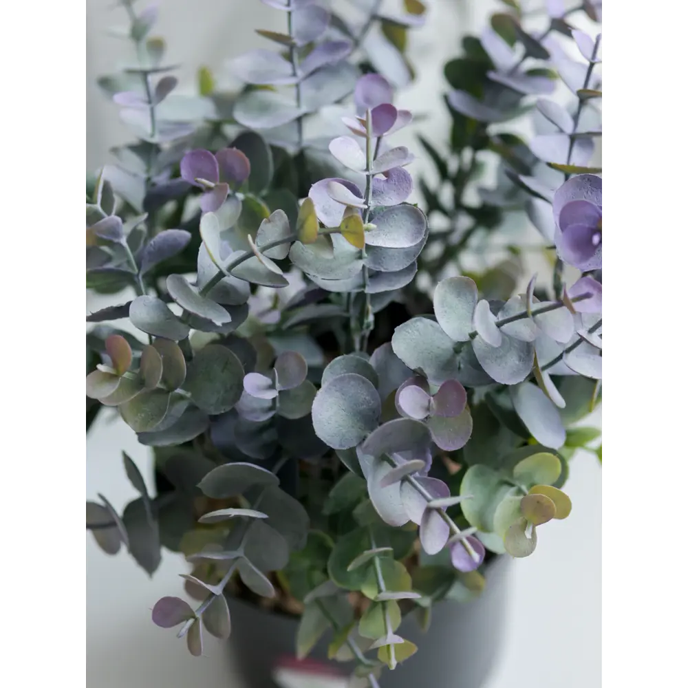 89356249 Искусственное растение в горшке эвкалипт h30 см цвет фиолетовый STLM-0962395 Santreyd  - Вид №5