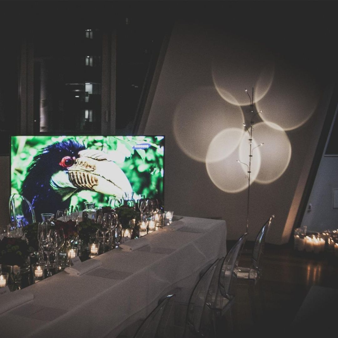 Catellani & Smith WWT Wa Wa F nickel торшер 118064 - Вид №3