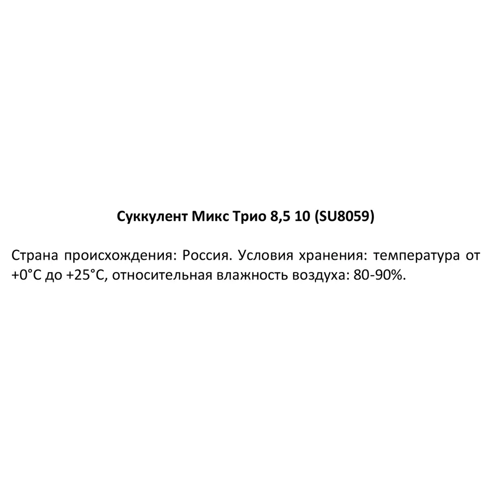 Santreyd Суккулент Трио микс — композиция миниатюрных растений для интерьера 87819716 STLM-0075897 - Вид №4
