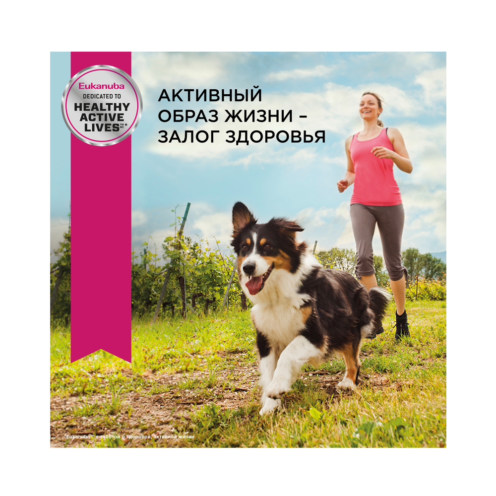 ПР0033058 Корм для собак для миниатюрных пород сух. 500г Eukanuba  - Вид №5