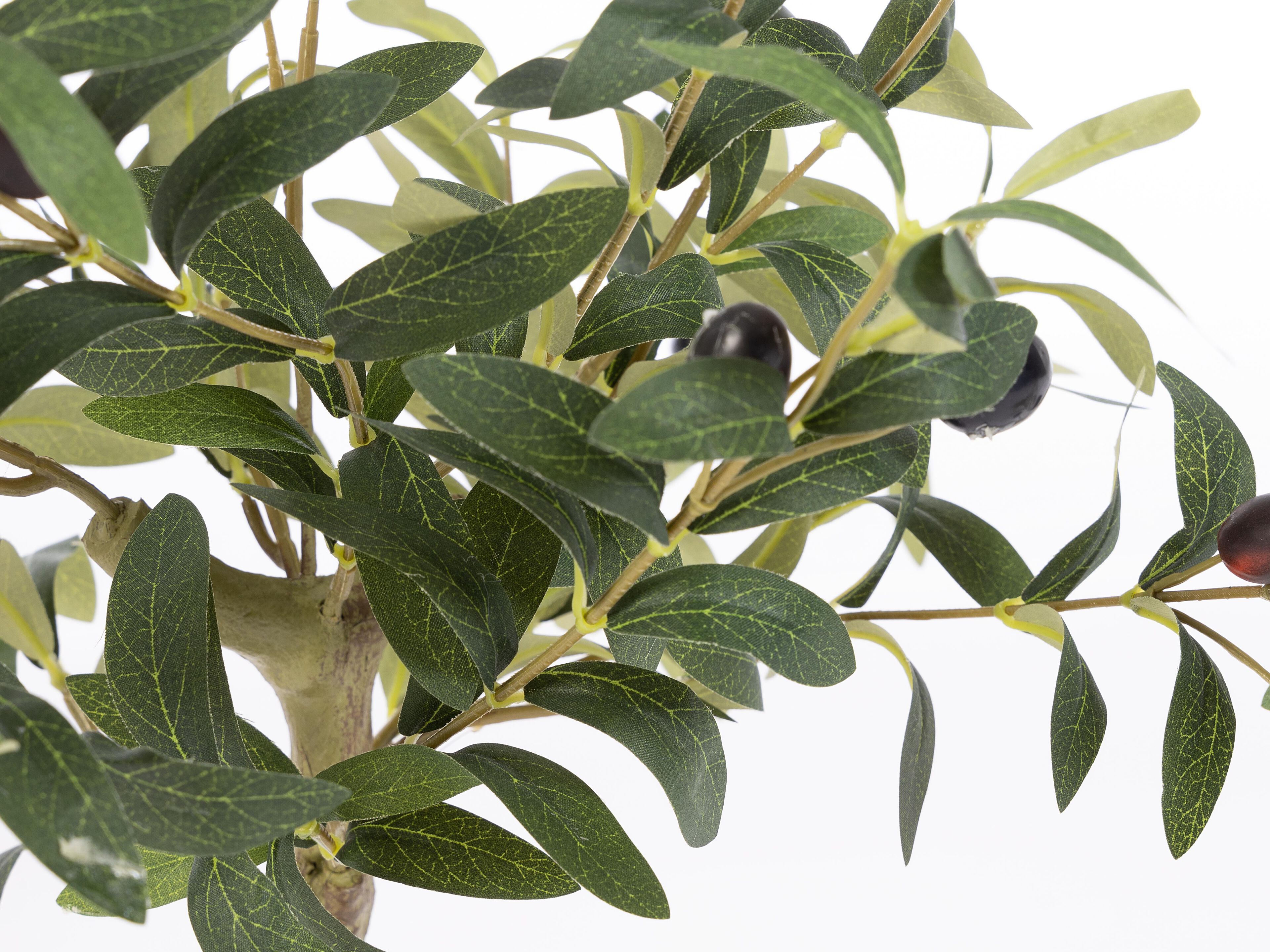 Искусственное растение BIZZOTTO ULIVO H65 ARCH-00081402 - Вид №1