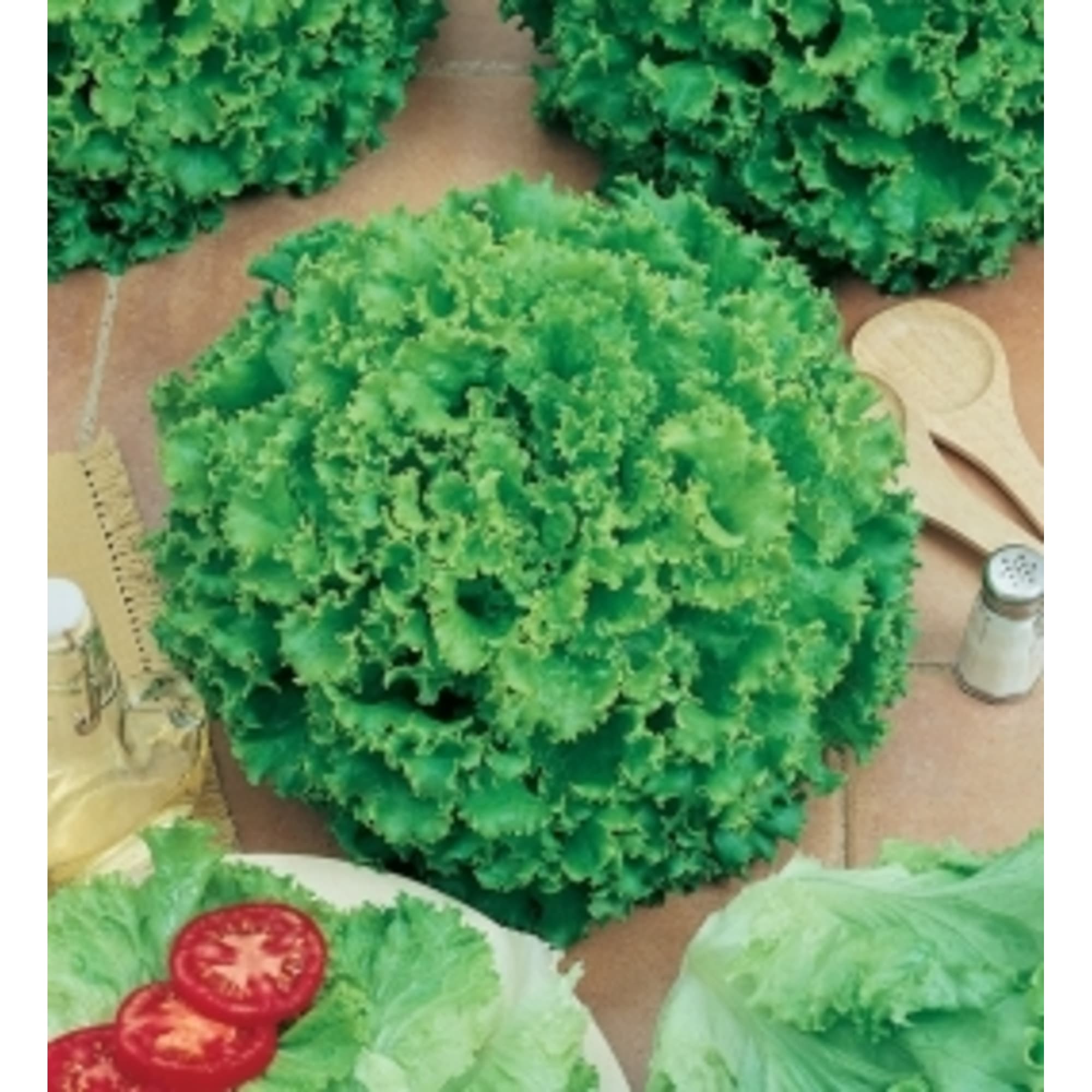 13919892 Семена Салат листовой зелёный «Лолло Бионда» Santreyd  - Вид №2