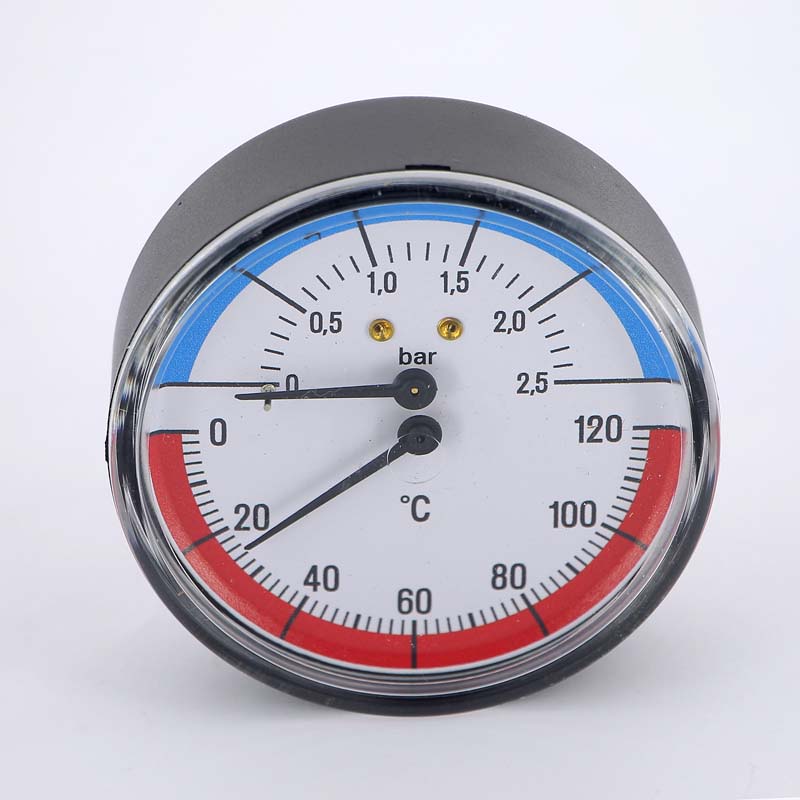 Термоманометр аксиальный F+R818 WATTS Ind 2,5бар 120 град.C 10009463