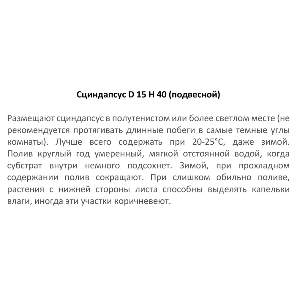 84586941 Сциндапсус микс ø15 h40 см Росток STLM-0052398 Santreyd  - Вид №2