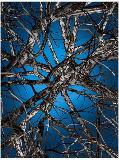 moooi Прямоугольный ковер Signatures sun-id-1349747