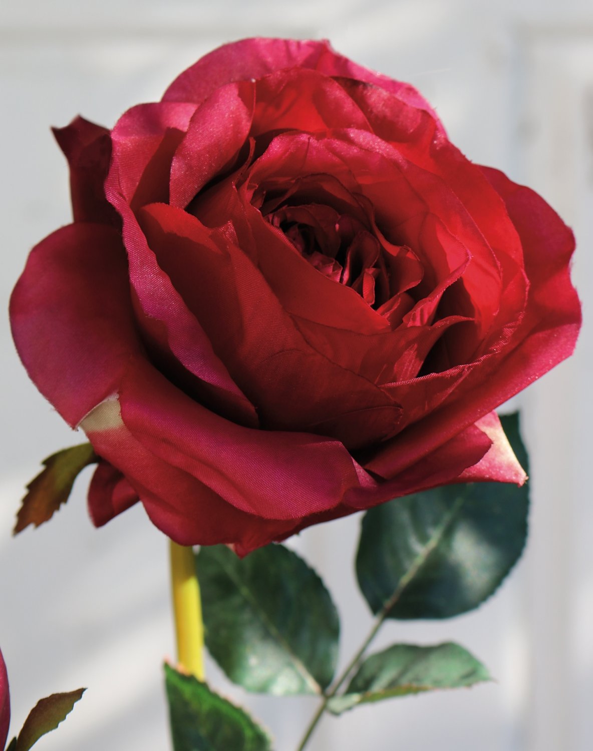 2545 442 a2 Ложная роза, 1 цветок, 2 бутона, 90 см, бордовый H-andreas  - Вид №1