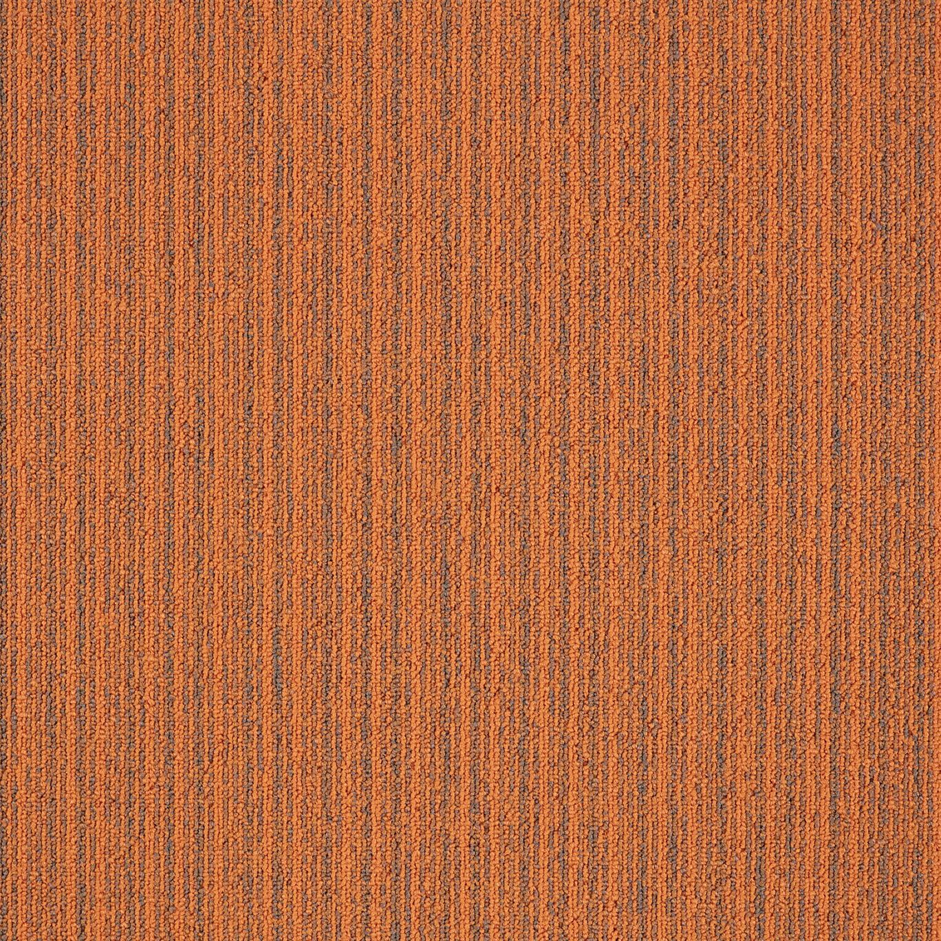 Нейлон®сплошной цвет ковер MODULYSS First ARCH-00082649 - Вид №8