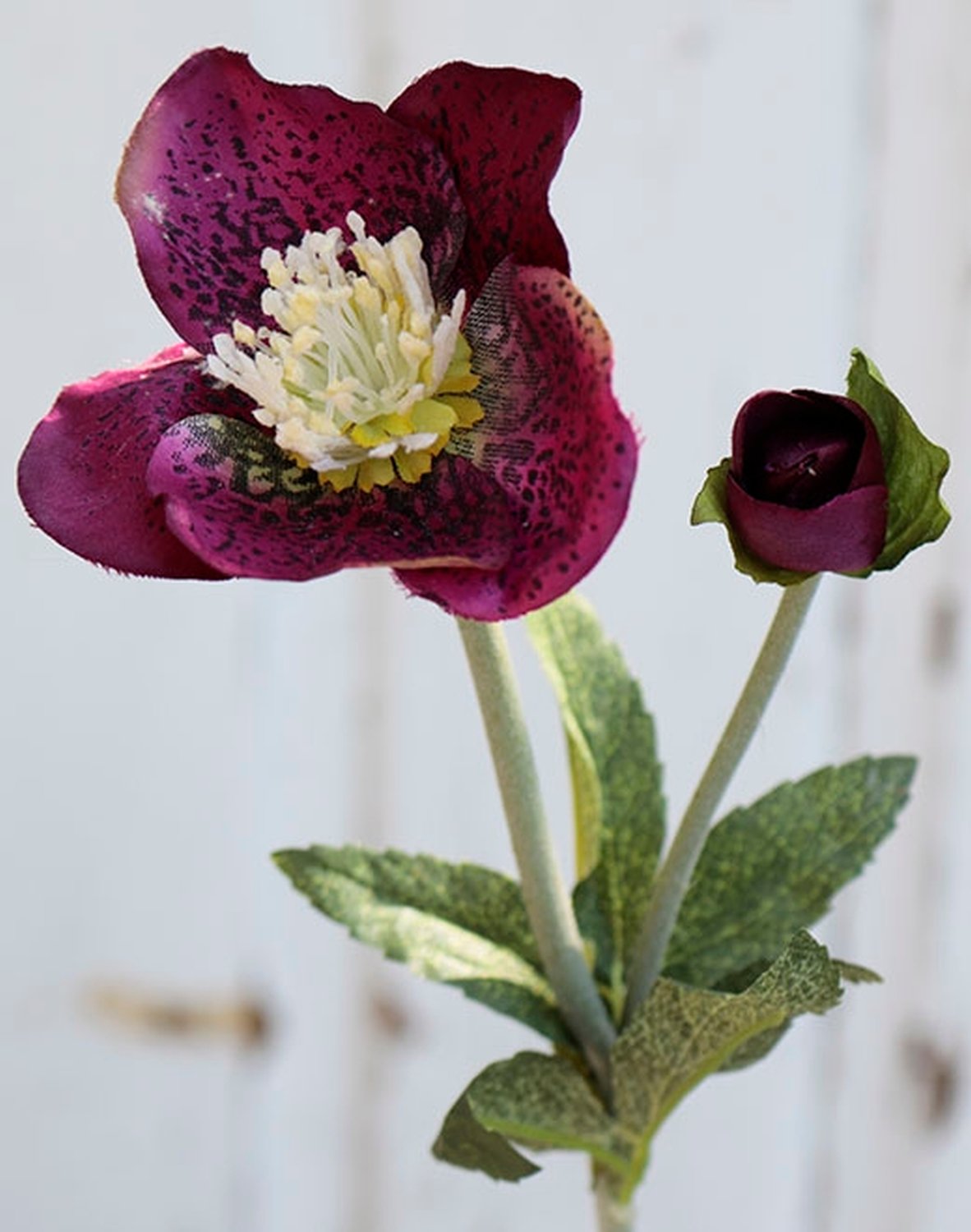 2577 499 a2 Пластиковая рождественская роза, 32 см, антично-темно-красная H-andreas 