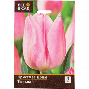 11564880 Тюльпан Кристмас Дрим 10/11, 3 шт.
