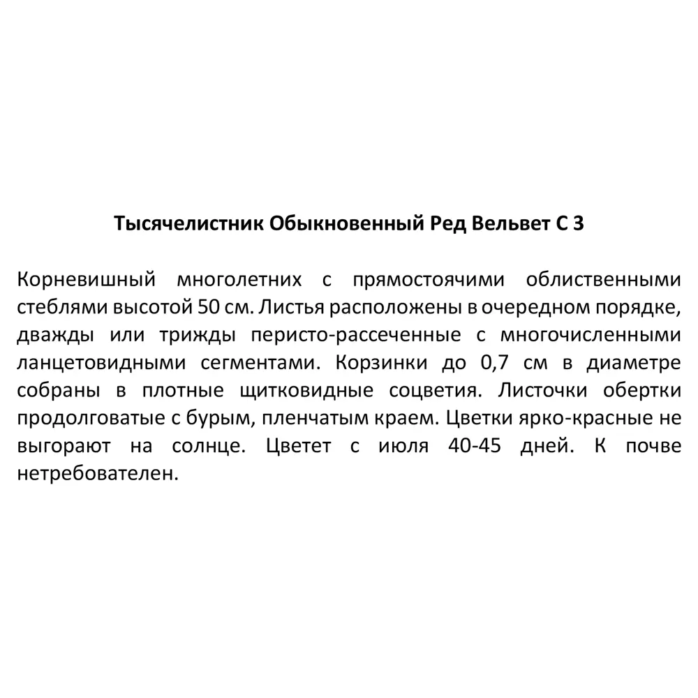 Тысячелистник обыкновенный «Ред Вельвет» 2 л h20 см 82219567 STLM-2173627 Santreyd  - Вид №3