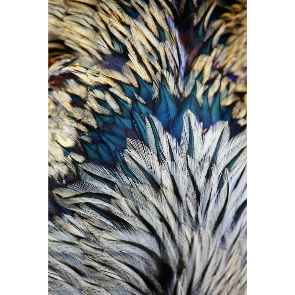 Картина на стекле «Перо» 40x60 см цвет белый/голубой 82977327 STLM-2035991 ARTABOSKO 